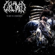 Review: Calcined - To Rot In A Honeybeam